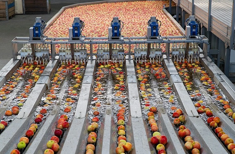 El flujo de proceso de la línea de producción de jugo.