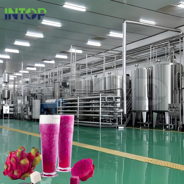 Línea de producción de jugo de fruta del dragón