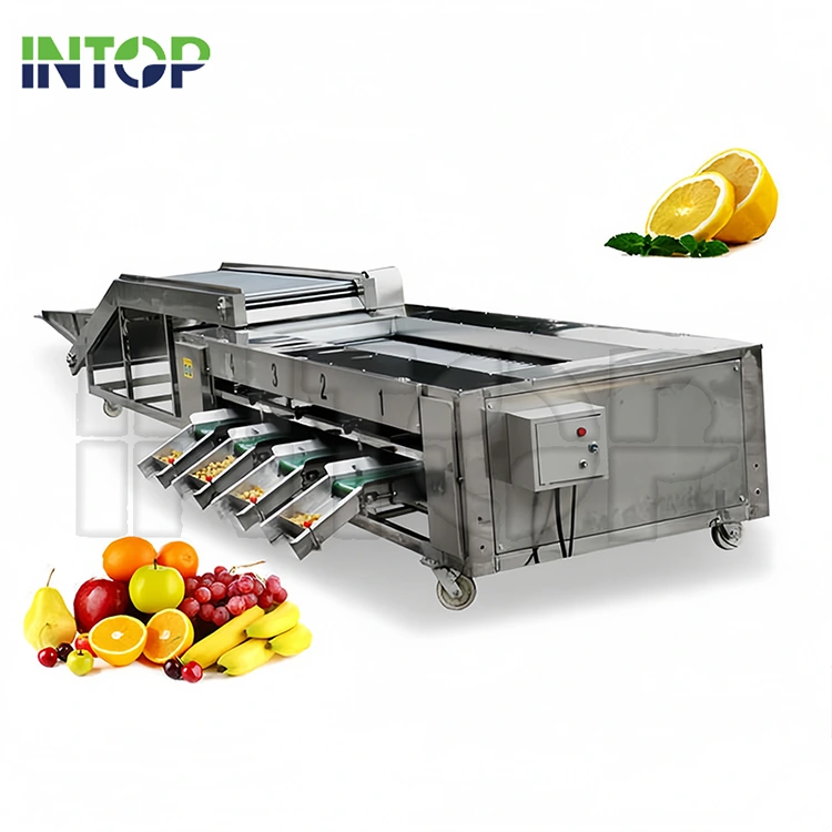 Máquina clasificadora de frutas y verduras