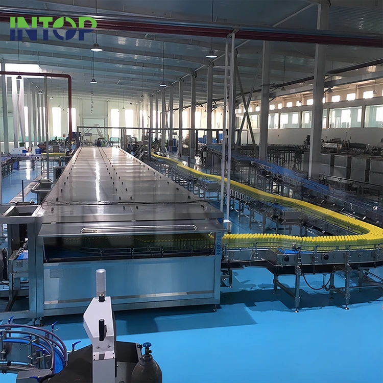 Línea de producción de jugo de mango