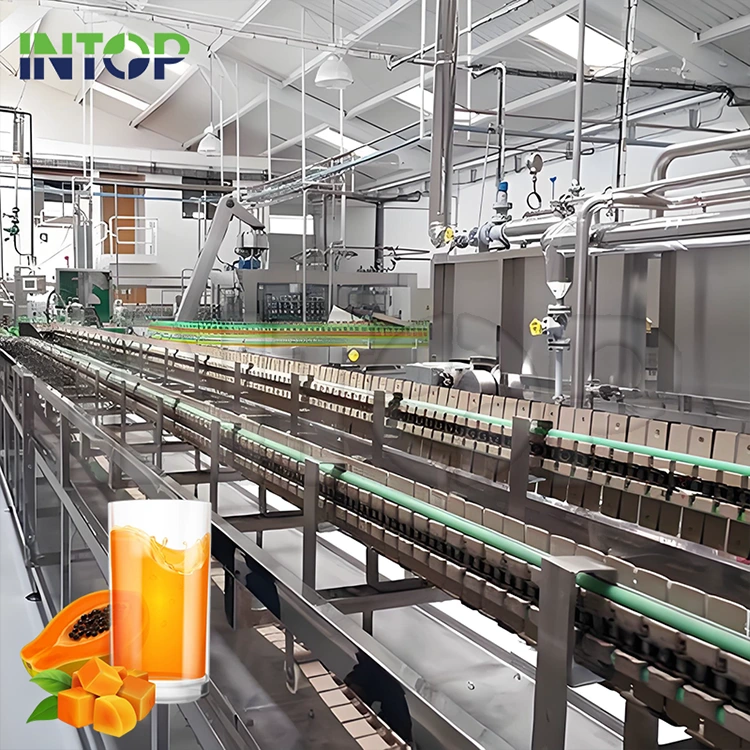 Línea de producción de jugo de papaya