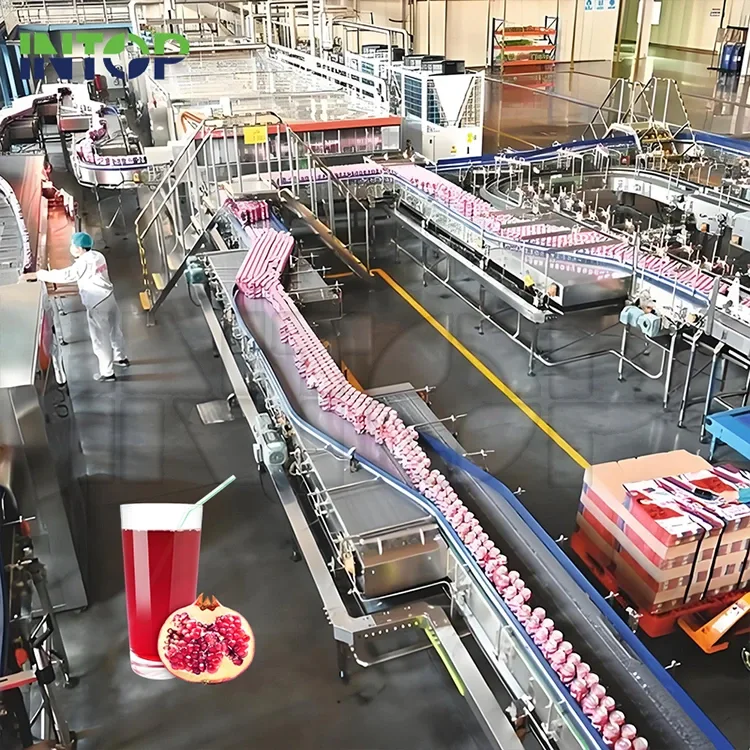 Línea de producción de jugo de granada